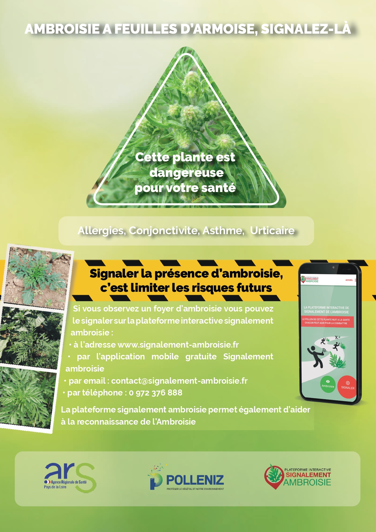 affiche ambroisie page 0001
