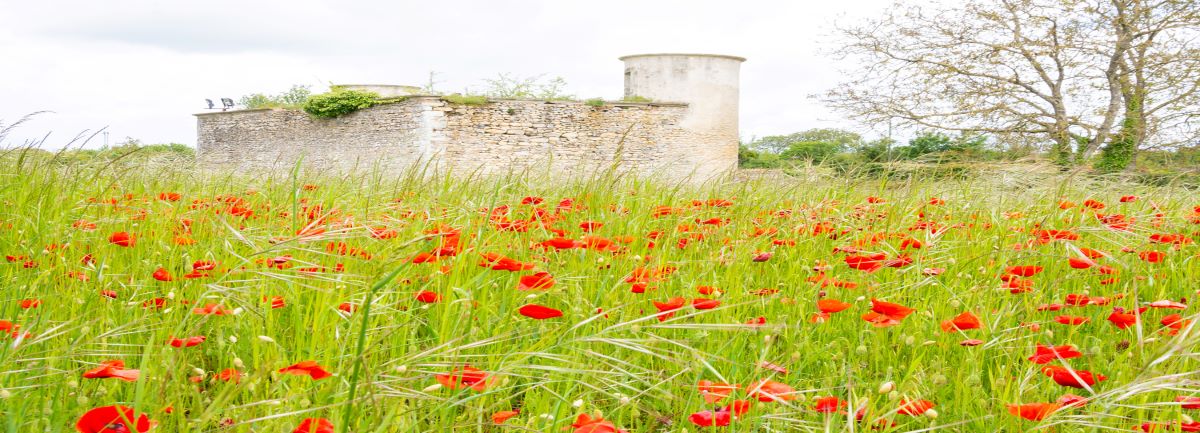 banner riviere